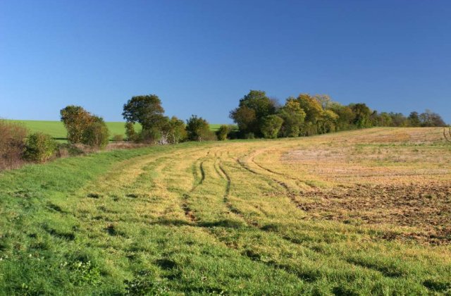 Ce sanse are Romania sa fie salvata de agricultura?