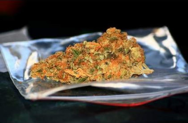 Guvernul declara razboi etnobotanicelor