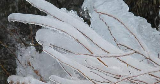 Iarna persista: Minus 18 grade Celsius la Joseni