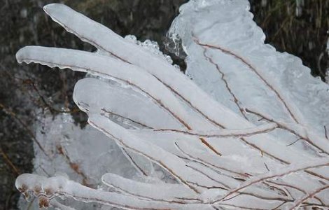 Iarna persista: Minus 18 grade Celsius la Joseni