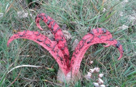  Top  TOP 10 momente in care Mama Natura a demonstrat ca poate fi cu adevarat infricosatoare