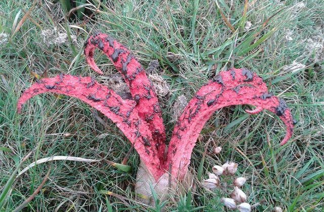 TOP 10 momente in care Mama Natura a demonstrat ca poate fi cu adevarat infricosatoare