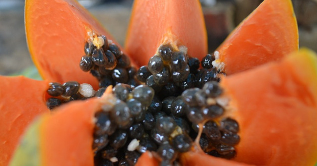  Top  10 motive care te vor determina sa mananci mai des papaya