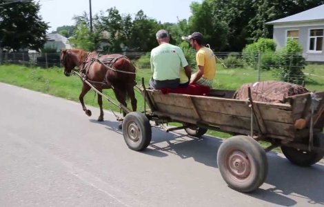 Buzau: Barbat calcat de caruta, dupa ce calul s-a speriat de un urs