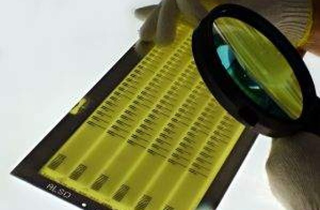 Cand vor fi functionale bancile de organe si tesuturi in Romania?