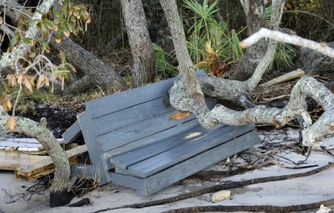MAE: Patru romani au parasit zona afectata de uraganul Irma