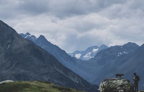 Un caine abandonat in Muntii Fagaras a fost salvat de un turist care l-a carat in spate
