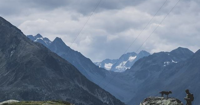 Un caine abandonat in Muntii Fagaras a fost salvat de un turist care l-a carat in spate