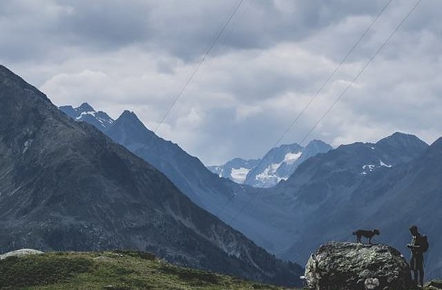 Un caine abandonat in Muntii Fagaras a fost salvat de un turist care l-a carat in spate