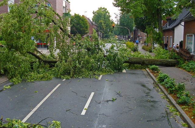 Criza majora in urma uraganului Irma: Sute de persoane au stat la coada pentru mancare