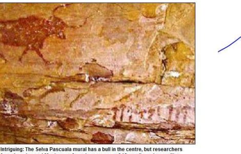 Omul se droga cu ciuperci halucinogene inca de acum 6.000 de ani