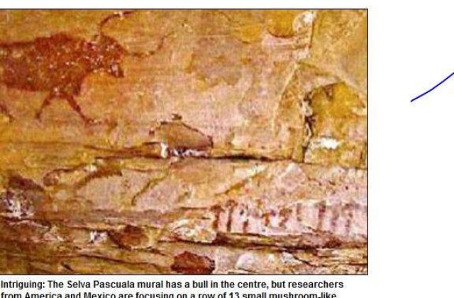 Omul se droga cu ciuperci halucinogene inca de acum 6.000 de ani