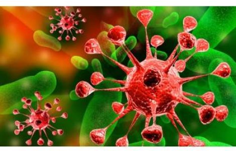 5 ani de la prima recoltare de celule stem