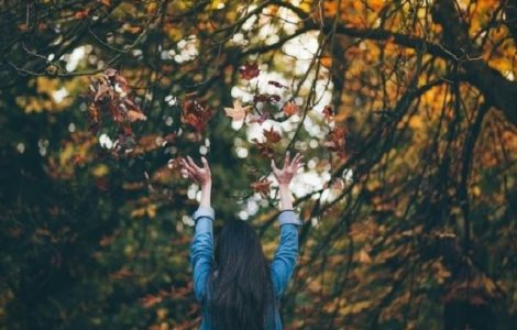  Top  8 lucruri pe care le poti face in aceasta toamna