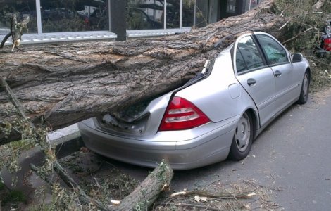 Furtunile din vestul tarii au facut ravagii: 8 morti si 67 de raniti