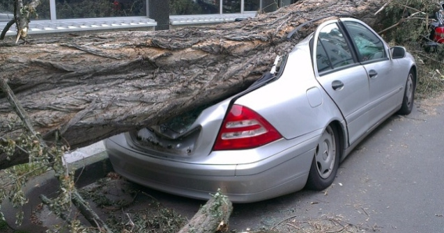 Furtunile din vestul tarii au facut ravagii: 8 morti si 67 de raniti