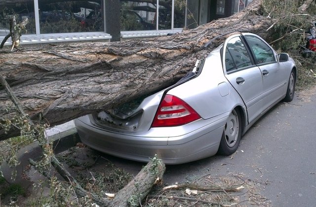 Furtunile puternice din vestul tarii au facut ravagii: 8 morti si 67 de raniti