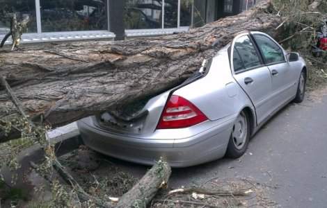 Furtunile din vestul tarii au facut ravagii: 8 morti si 67 de raniti