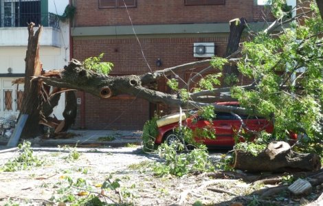 Bilant IGSU: 8 morti si 145 de raniti, in urma furtunilor devastatoare