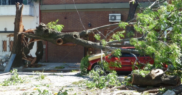 Bilant IGSU: 8 morti si 145 de raniti, in urma furtunilor devastatoare