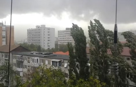 Politia Timis a deschis 5 dosare penale in cazul deceselor din cauza furtunii