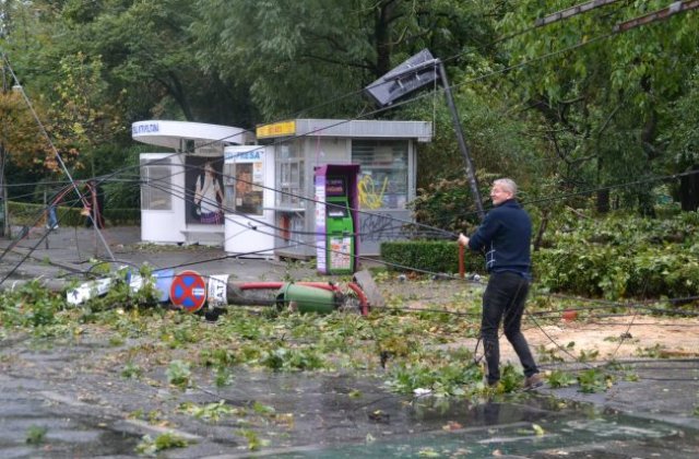 Timisoara: Poarta de intrare in oras, care a cazut peste o masina si a ucis un om, a fost reabilitata in 2015 cu 56.000 de euro
