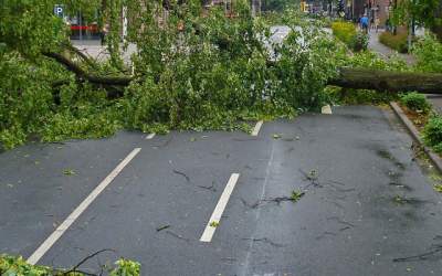 Presa internationala scrie...