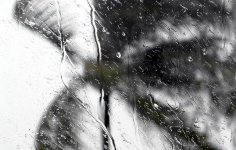 Caraibe: Uraganul Maria, de categorie 5, a lovit insula Dominica