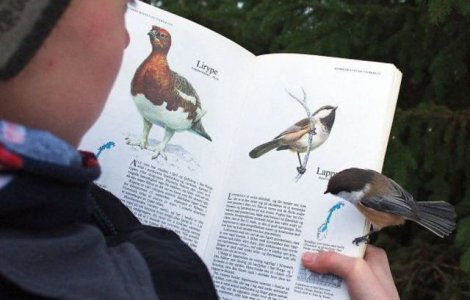  Top  O sansa intr-un milion: 10 coincidente greu de crezut