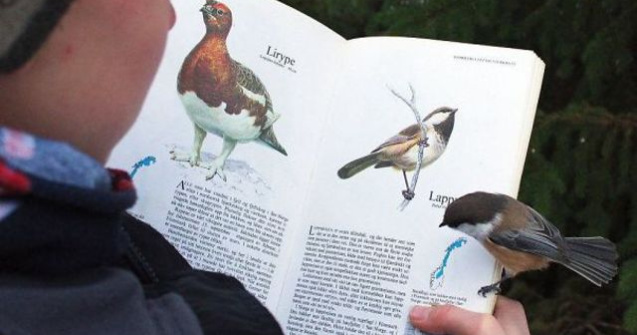  Top  O sansa intr-un milion: 10 coincidente greu de crezut