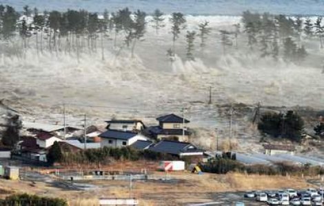 Exista viata dupa tsunami