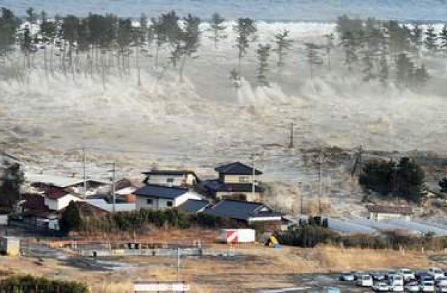 Exista viata dupa tsunami