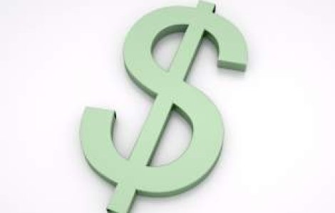  Top  Cat au castigat vedetele in 2010?