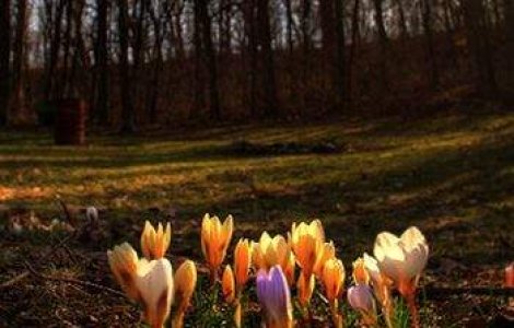 Vreme tot mai calda in toata tara