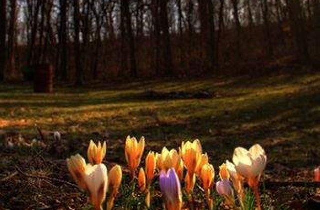 Vreme tot mai calda in toata tara