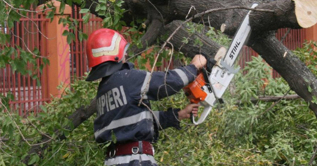 ISU Bucuresti-Ilfov: O persoana decedata, 14 copaci cazuti pe masini sau carosabil si opt curti inundate, in urma furtunii