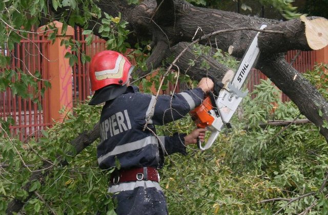 ISU Bucuresti-Ilfov: O persoana decedata, 14 copaci cazuti pe masini sau carosabil si opt curti inundate, in urma furtunii