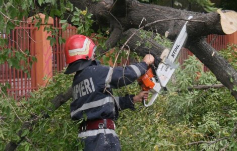 ISU Bucuresti-Ilfov: O persoana decedata, 14 copaci cazuti pe masini sau carosabil si opt curti inundate, in urma furtunii