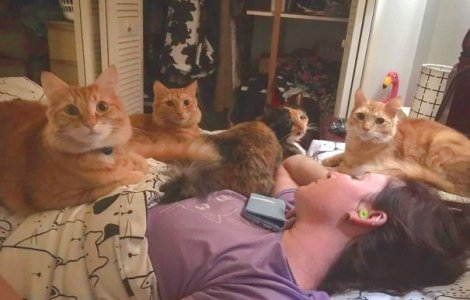  Top  10 imagini care arata cat de frumoasa e viata cu mai multe animale de companie