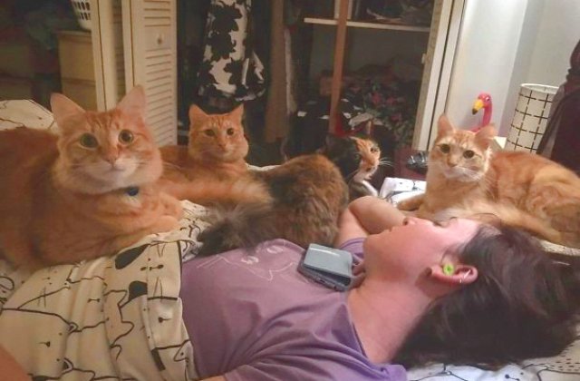 10 imagini care arata cat de frumoasa e viata cu mai multe animale de companie