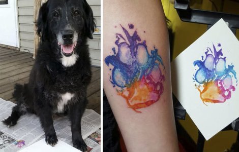  Top  Stapani care isi iubesc cu adevarat cainii: 10 tatuaje adorabile