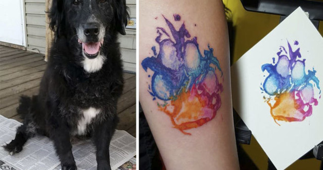  Top  Stapani care isi iubesc cu adevarat cainii: 10 tatuaje adorabile