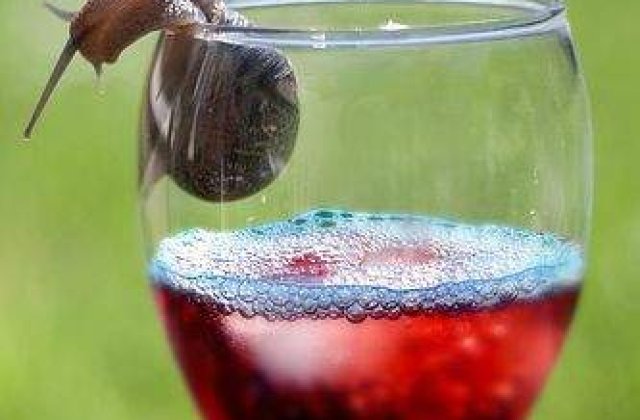 Alcoolic la doar 3 ani!