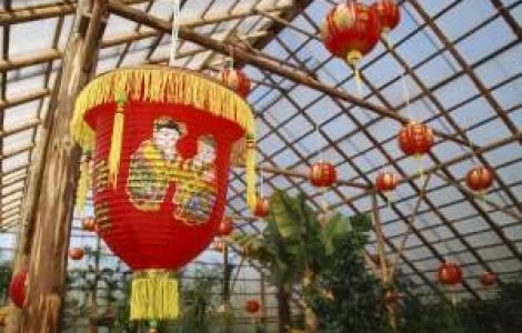 Zodiacul vietnamez al personalitatii