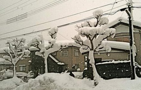 Japonia, afectata si de frig