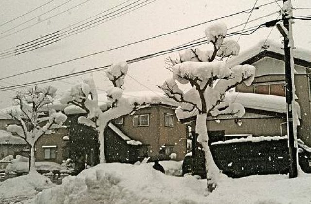 Japonia, afectata si de frig