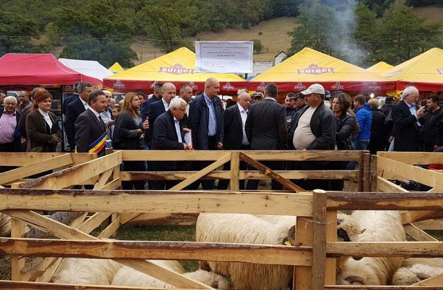 Petre Daea: Oaia, un "animal care ne strabate istoria ca un fir rosu"