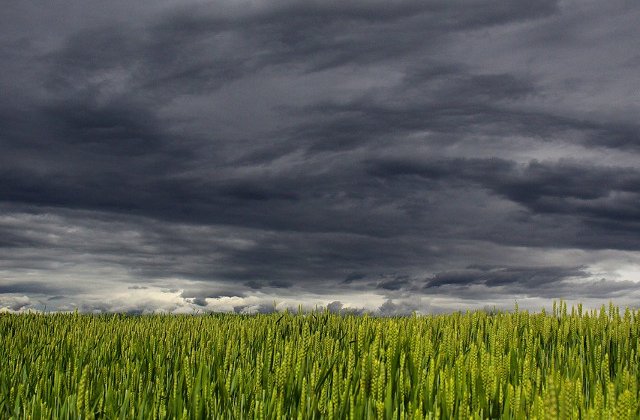 Sase judete se afla sub cod galben de vant