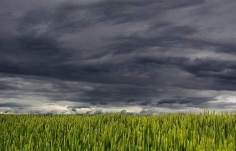 Sase judete se afla sub cod galben de vant