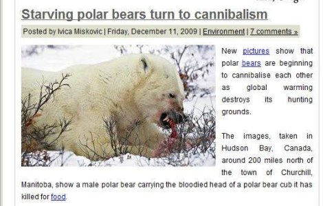 Incalzirea globala transforma ursii polari in canibali